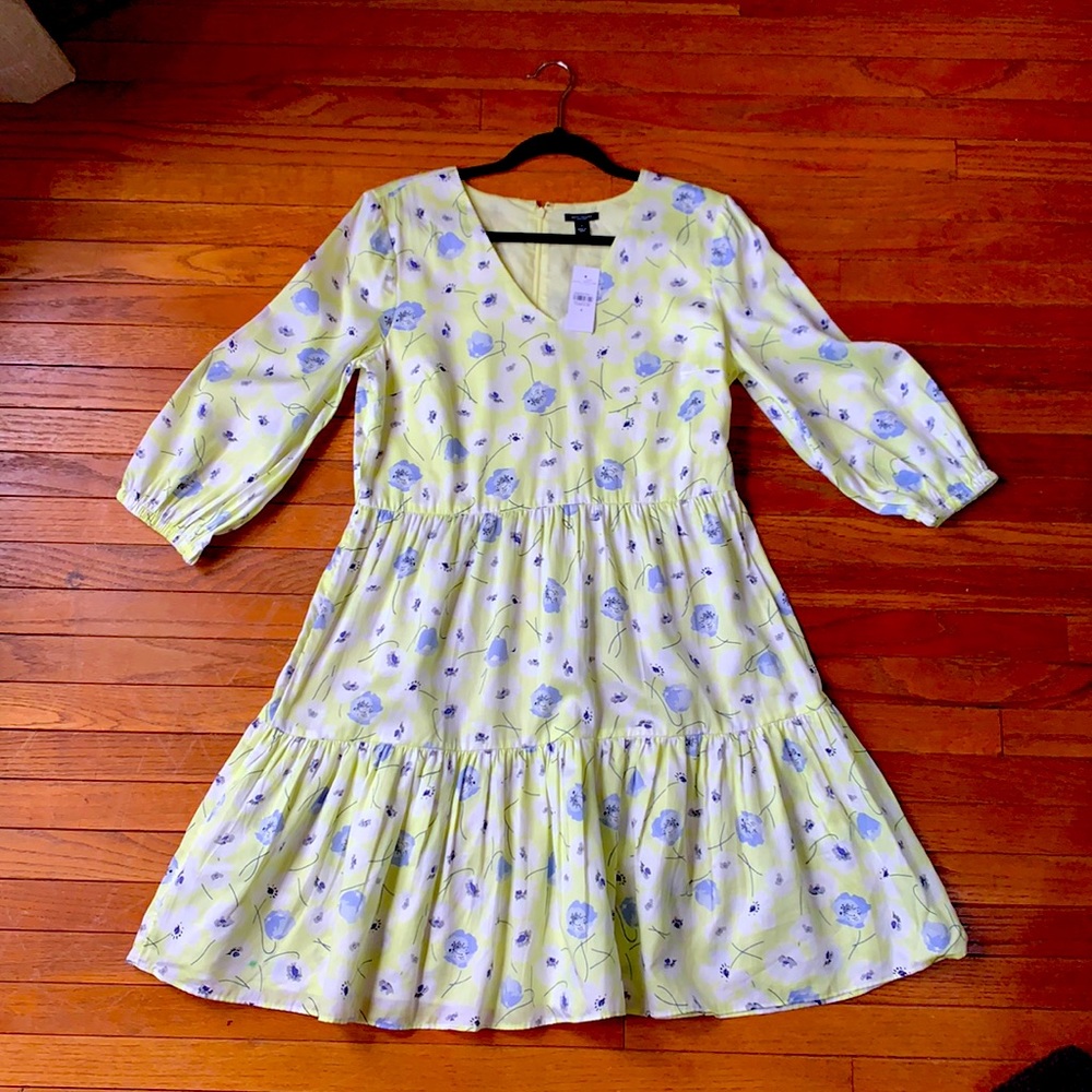 Ann Taylor Factory Floral Tiered Dress